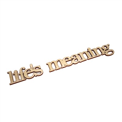 life's meaning