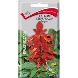 Семена Сальвия Скарлет сверкающая, арт.: 4903
