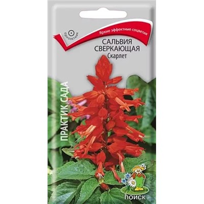 Семена Сальвия Скарлет сверкающая, арт.: 4903