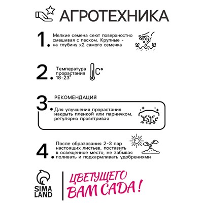 Семена цветов Катарантус Пацифика  "Бургунди" 10 шт