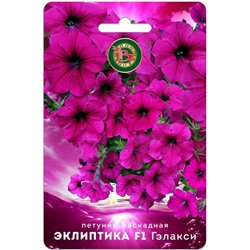 Петуния каскадная Эклиптика F1 Гэлакси