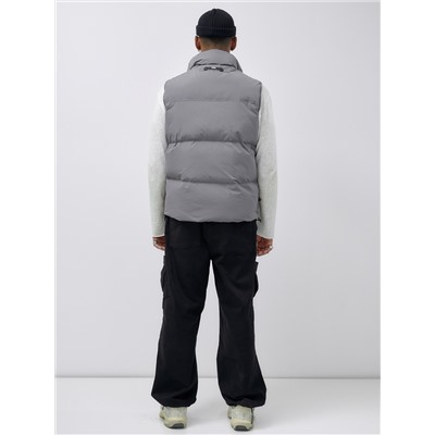 Жилет мужской утепленный спортивный серого цвета 15322Sr