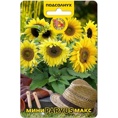 Подсолнух Мини-Макс F1 Парвус