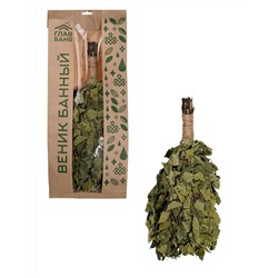 Веник берёзовый "ГлавБаня", с оплёткой ручки, XXL