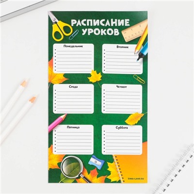 Подарочный набор, блокнот-раскраска, расписание уроков и восковые мелки 4 шт. «ВЫПУСКНИК начальной школы»