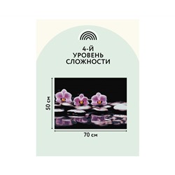 Алмазная мозаика ТРИ СОВЫ "Орхидеи", 50*70см, холст, картонная коробка с пластиковой ручкой