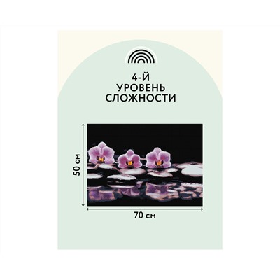 Алмазная мозаика ТРИ СОВЫ "Орхидеи", 50*70см, холст, картонная коробка с пластиковой ручкой