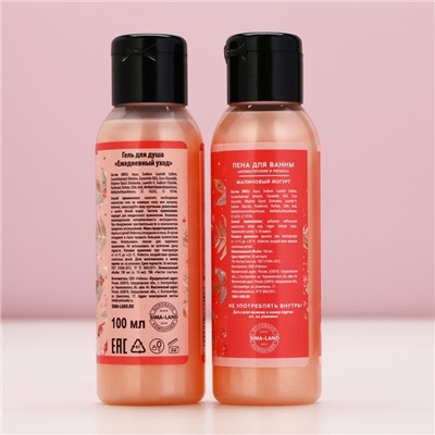 Подарочный набор новогодний женский «Верь в мечту», гель для душа, пена для ванны, 2×100 мл, Чистое счастье