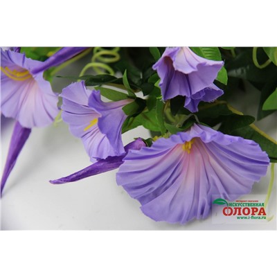 Букет Вьюн 7 стеблей (CH05005799)