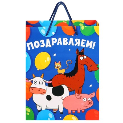 Пакет подарочный «Поздравляем!»,18х23х11.5 см, упаковка,