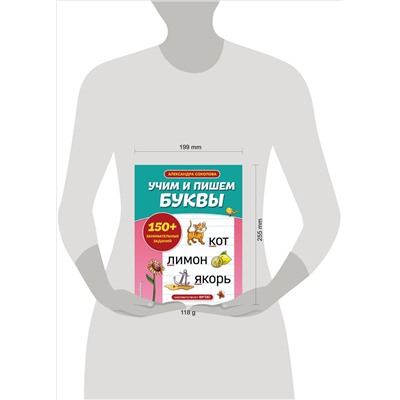 А. А. Соколова. Учим и пишем буквы