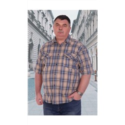 Рубашка мужская #096100294