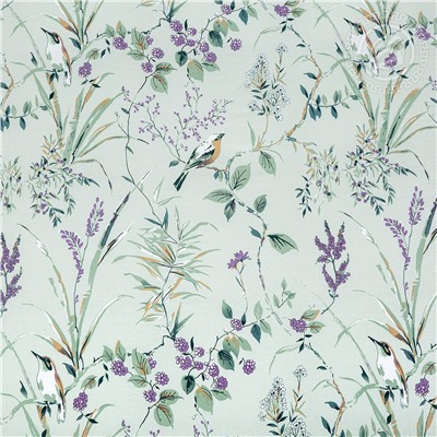 КПБ Муза поплин Арт Дизайн