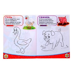 Раскраска детская «Домашние животные», 12 стр.