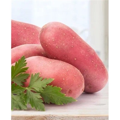 Семенной Картофель Аляска, арт.: 70298