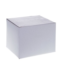 Цветочная композиция "Суккуленты", L16 W11,5 H16 см