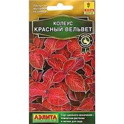 Колеус блюме Красный вельвет, арт.: 71333