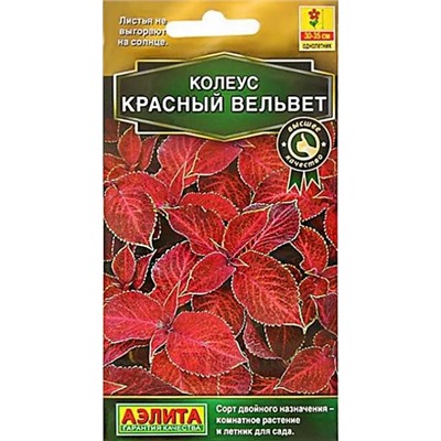 Колеус блюме Красный вельвет, арт.: 71333