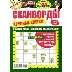 Василий Иваныч 300 сканвордов спец Крупные клетки 05/25