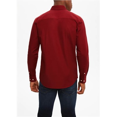 Big & Tall Slim Fit Oxford Shirt