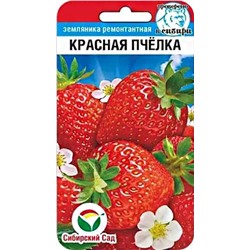 Семена Земляника (клубника) Красная пчелка, арт.: 14728