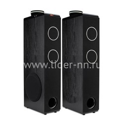 Колонка 10" (30-49 HOME SOUND) динамик 6шт/2х10";4х4"; 2х1.5" комплект 2 колонки ELTRONIC (черная)