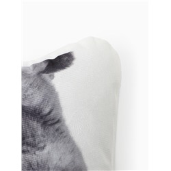 Подушка «Этель» Сat family 40×33 см, 100% п/э, велюр