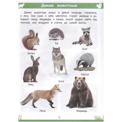 Уценка. Этери Заболотная: Энциклопедия дошкольника. 3-4 года