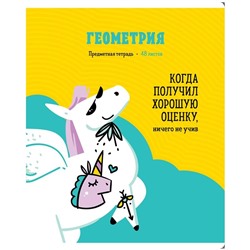 Комплект (10 шт.) предметных тетрадей 48л. ArtSpace "Zippy Unicorn", ТВИН-лак