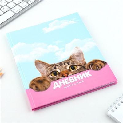Дневник школьный 1-11 класс универсальный «Котик», твердая обложка 7БЦ, глянцевая ламинация, 40 листов