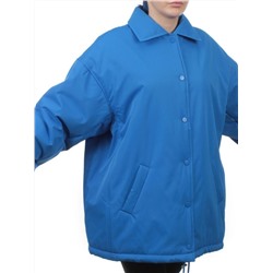 H24-216 BLUE Куртка демисезонная женская (100 гр. синтепон)