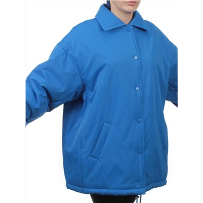 H24-216 BLUE Куртка демисезонная женская (100 гр. синтепон)