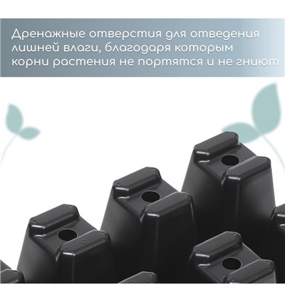 Кассета для рассады, 10 ячеек по 100 мл, набор 5 шт., чёрная