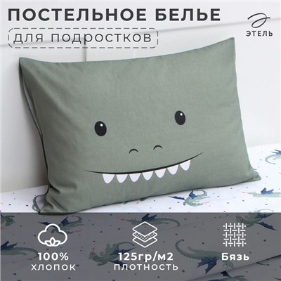 Постельное бельё "Этель" 1,5 Happy dragon 143х215 см, 150х214 см, 50х70 см -1 штука, 100% хлопок, бязь