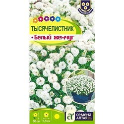 Семена Тысячелистник Белый жемчуг, арт.: 14419