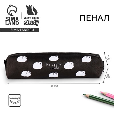 Пенал школьный из искусственной кожи «На грани срыва» , 19×8×3 см