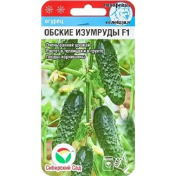Семена Огурец Обские изумруды F1, арт.: 10231