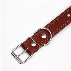 Ошейник кожаный «Строгий шип», 70×3.5 см, ОШ 45-60 см, коричневый