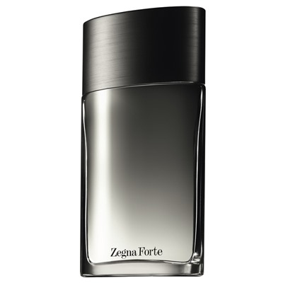 Ermenegildo Zegna Forte edt 100 ml