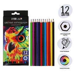 Карандаши цветные 12 цветов Calligrata Soft, заточенные, шестигранные, пластиковые, картонная упаковка, европодвес