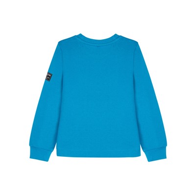 Толстовка для мальчика