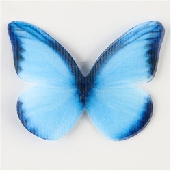 Декор для творчества «Бабочка», двухслойный, набор 12 шт., размер 1 шт. — 5×4 см, цвет голубой