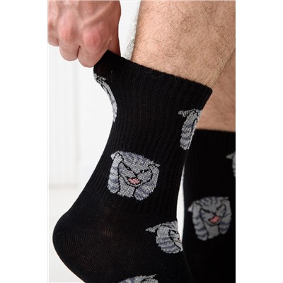 Носки мужские Драматик кот (набор 2 пары)