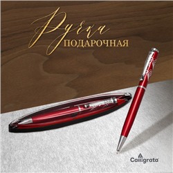 Ручка подарочная, шариковая, в пластиковом футляре, поворотная, «Франсуаза», бордово-серебристая