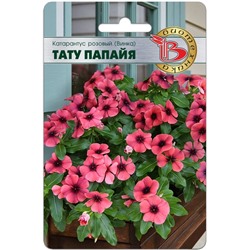 Катарантус розовый (Винка) Тату Папайя