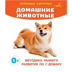 Домашние животные. Дмитриева В.Г.