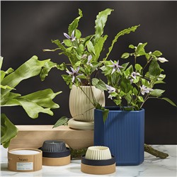 Свеча ароматическая Sandalwood, Bergamot & Citrus из коллекции Edge, серый, 30 ч