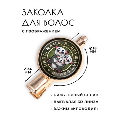 HZF-0163 Заколка Папа, мама, я - дружная семья