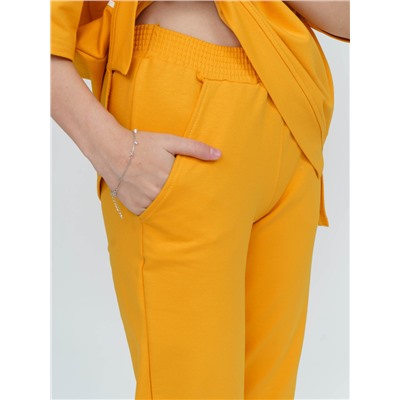 866Д Костюм горчичный Свт