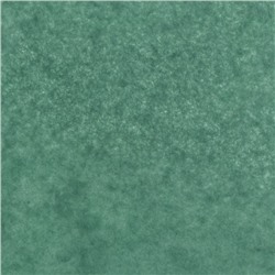 Бумага упаковочная тишью, хвойный, 50×66 см